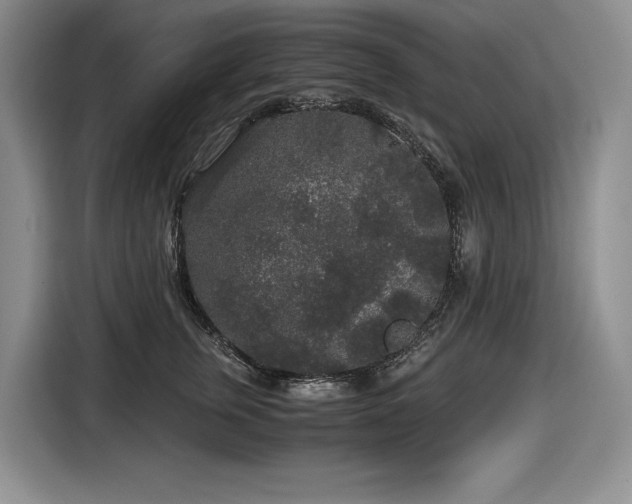 X0000116860759200912221138