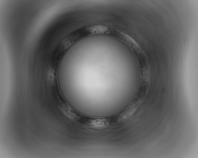 X0000116860761200912221138