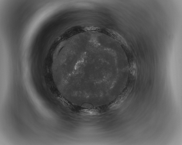 X0000116860763200912221138