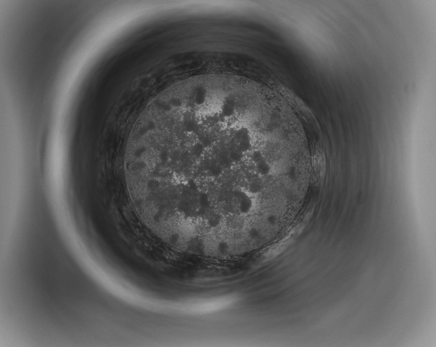 X0000116860765200912221138