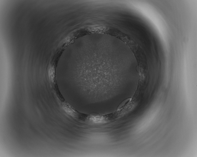 X0000116860767200912221138