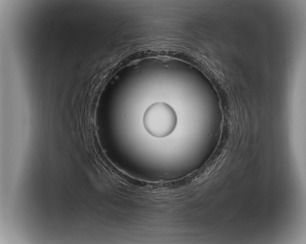 X0000116860769200912221138