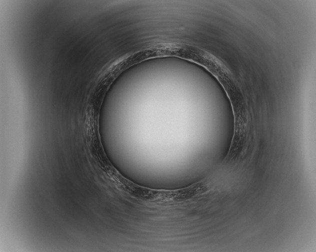 X0000116860773200912221138