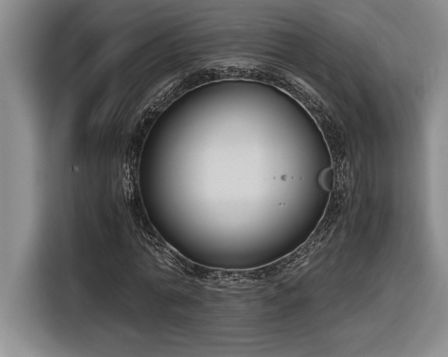 X0000116860774200912221138