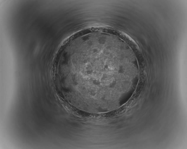X0000116860775200912221138