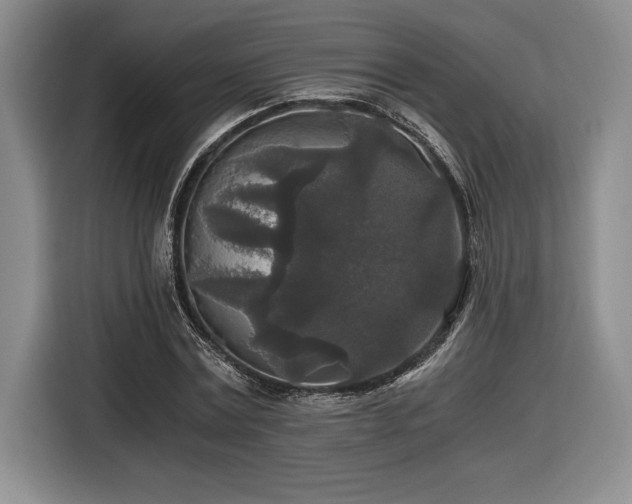 X0000116860779200912221138