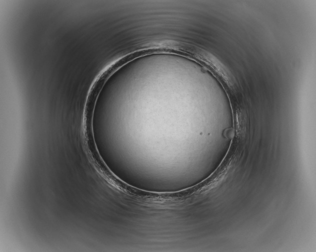 X0000116860780200912221138