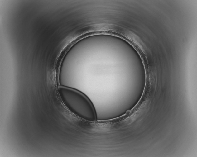 X0000116860781200912221138
