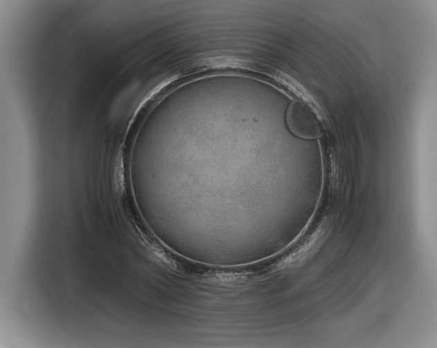 X0000116860782200912221138