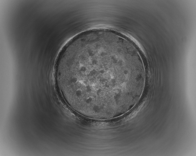 X0000116860783200912221138