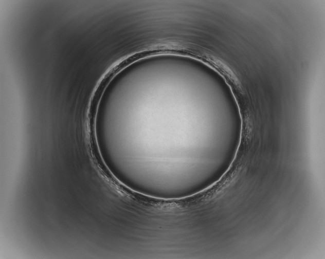 X0000116860784200912221138