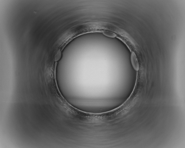 X0000116860785200912221138
