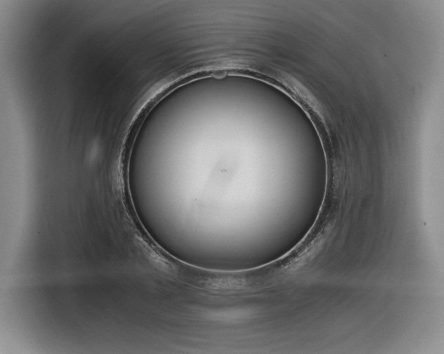 X0000116860789200912221137