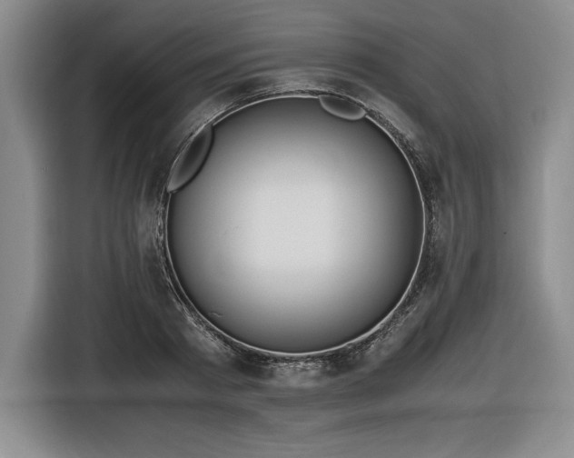 X0000116860793200912221137