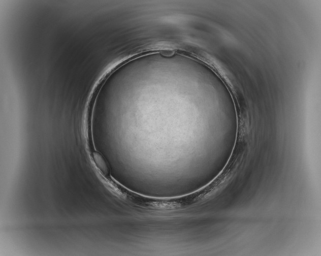 X0000116860795200912221137