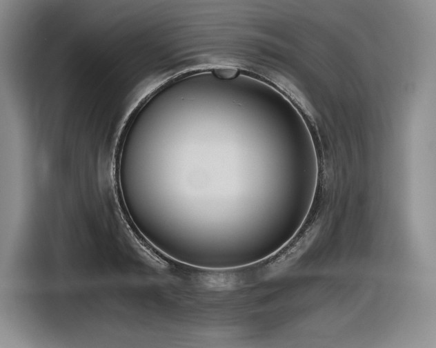 X0000116860797200912221137