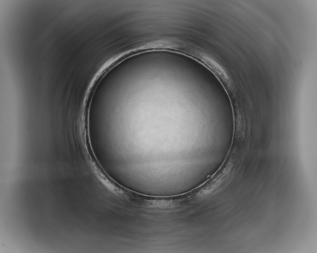 X0000116860800200912221137