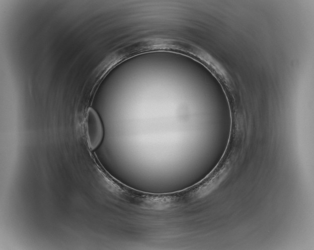 X0000116860801200912221137
