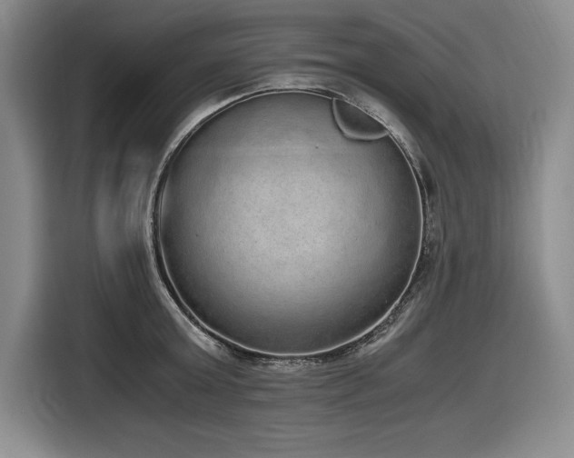 X0000116860803200912221137