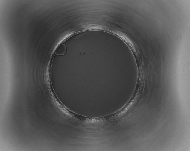 X0000116860806200912221137