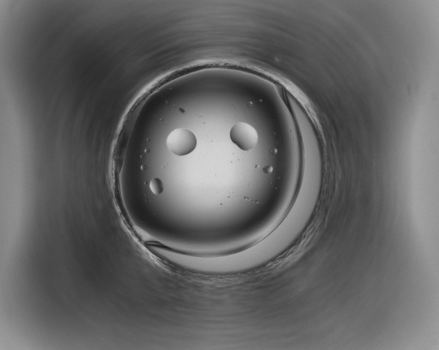 X0000116860807200912221137