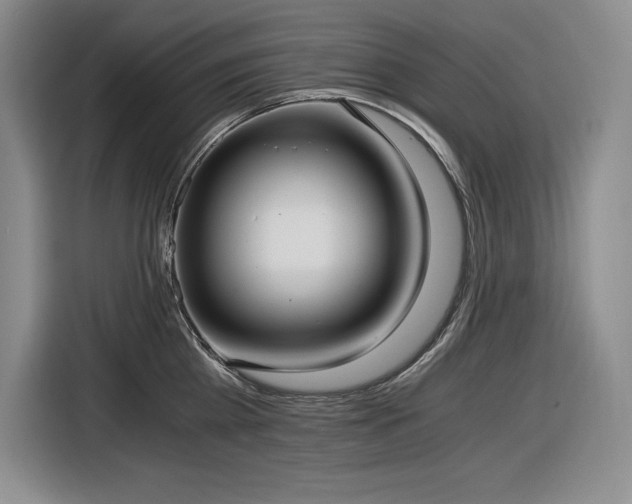 X0000116860809200912221137