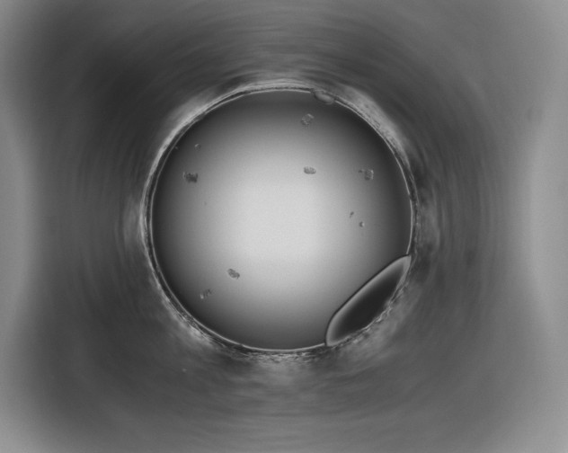 X0000116860813200912221137