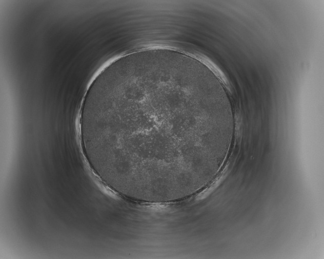 X0000116860814200912221137