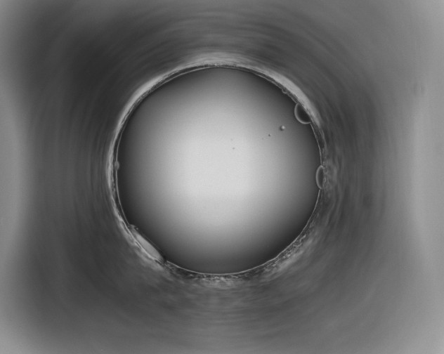 X0000116860815200912221137