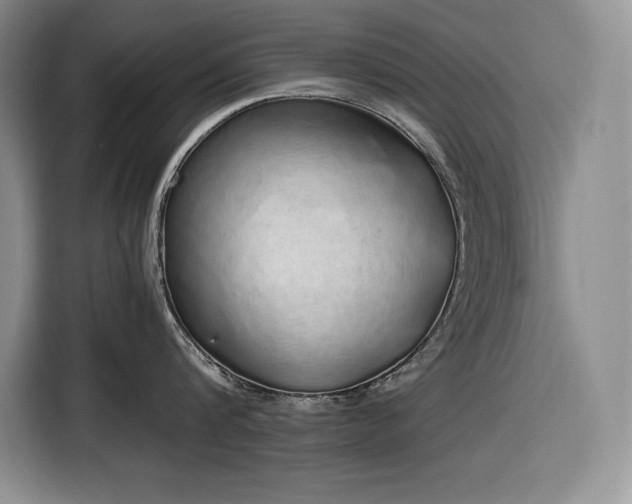 X0000116860816200912221137