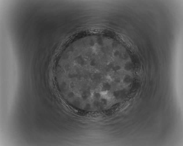 X0000116860817200912221137
