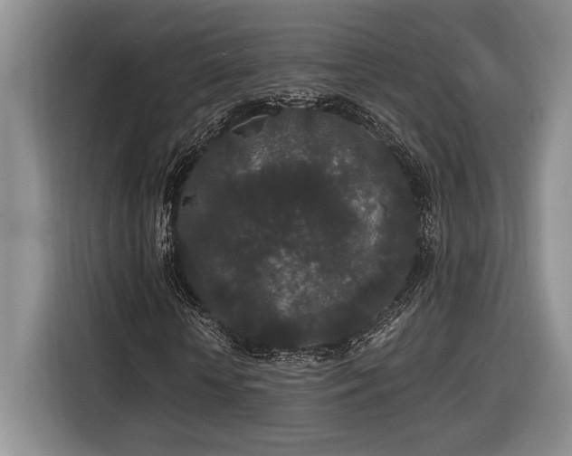 X0000116860818200912221137
