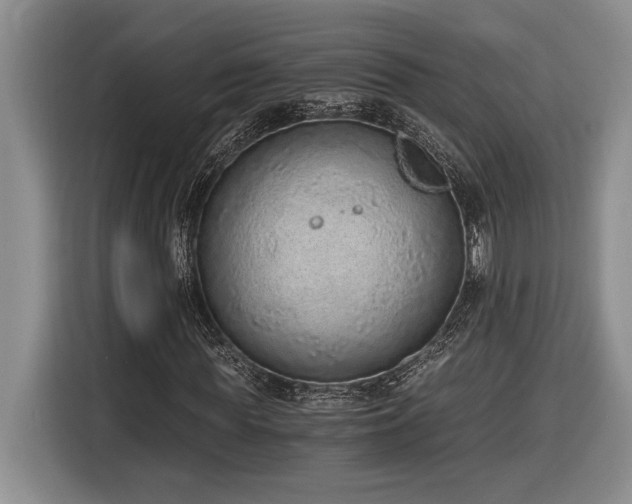 X0000116860819200912221137