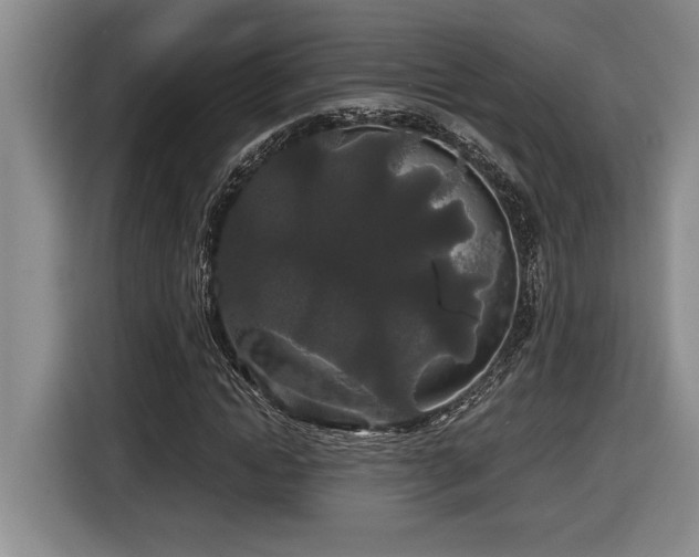 X0000116860822200912221137