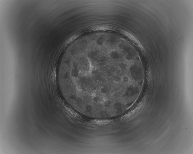 X0000116860825200912221137