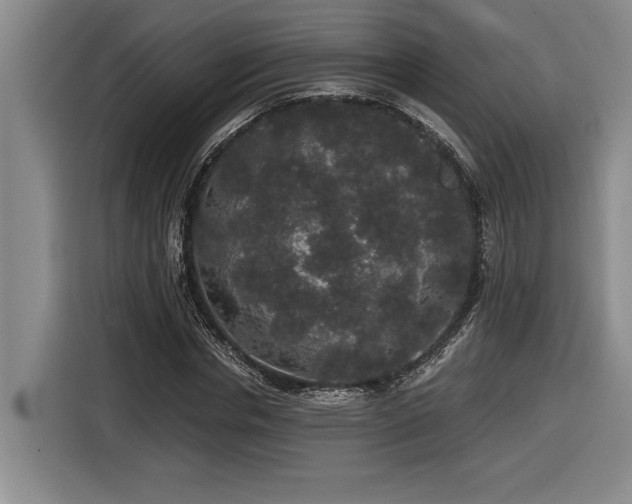 X0000116860826200912221137