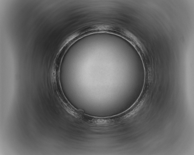 X0000116860827200912221137