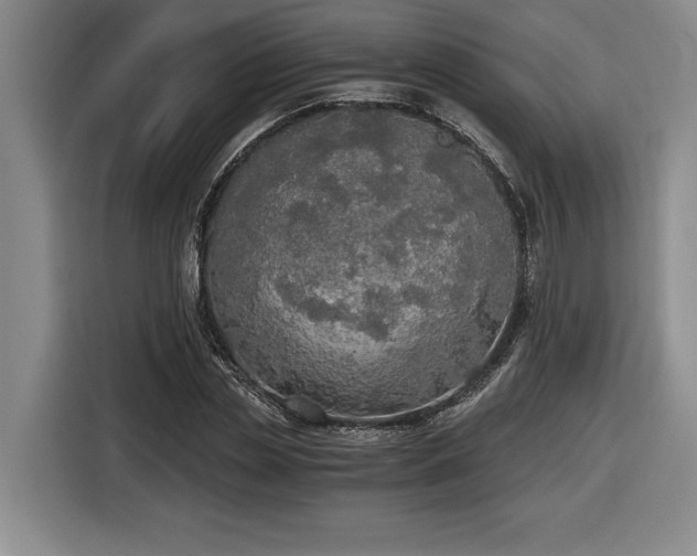 X0000116860829200912221137