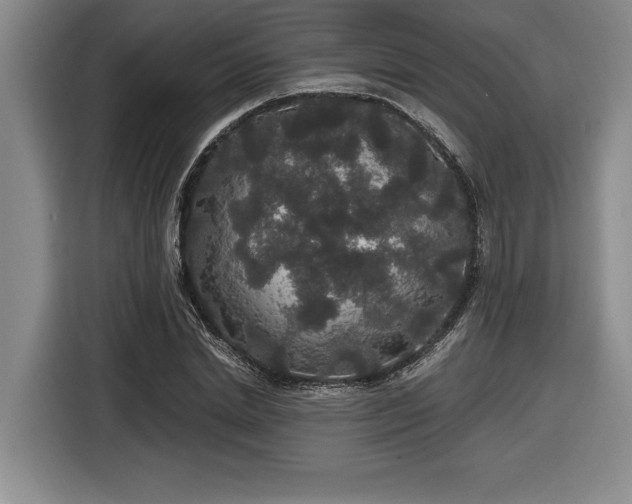 X0000116860830200912221137
