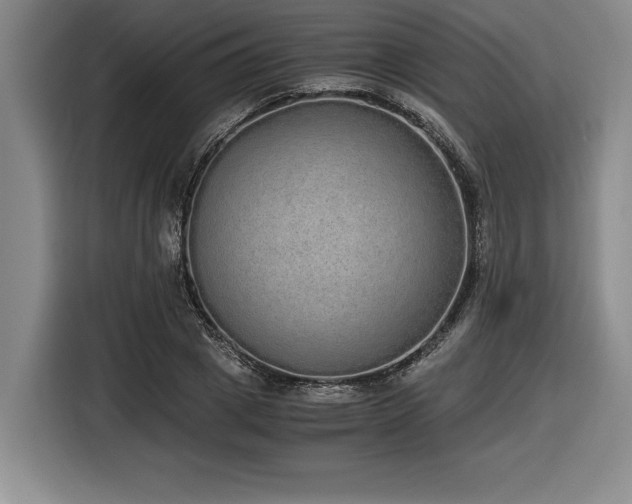 X0000116860833200912221137