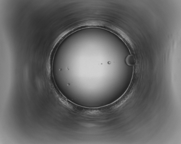 X0000116860837200912221137