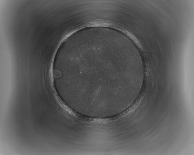 X0000116860840200912221137
