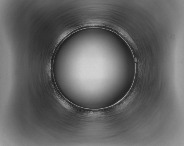 X0000116860842200912221137