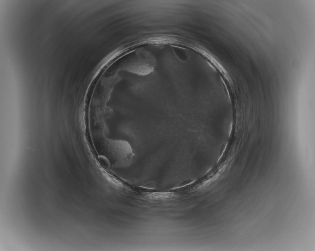 X0000116860853200912221137