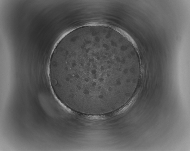 X0000116860855200912221137