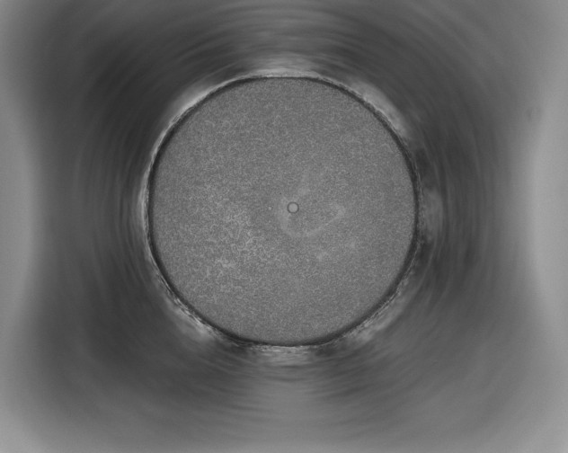 X0000116860856200912221137