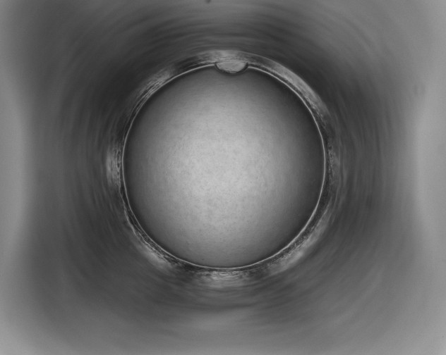 X0000116860857200912221137