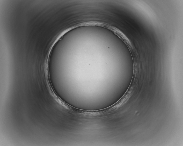 X0000116860860200912221137
