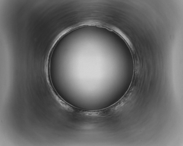 X0000116860861200912221137