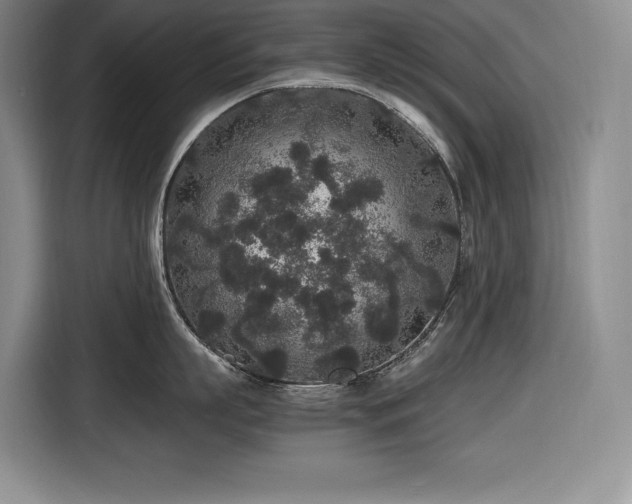 X0000116860863200912221137